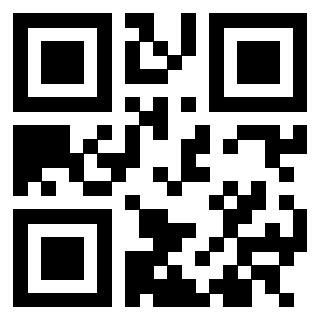 3305028132 Qr Code associato