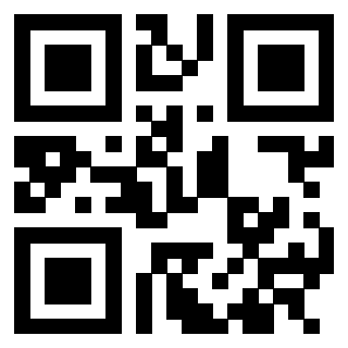 3305028456 - Immagine del QrCode