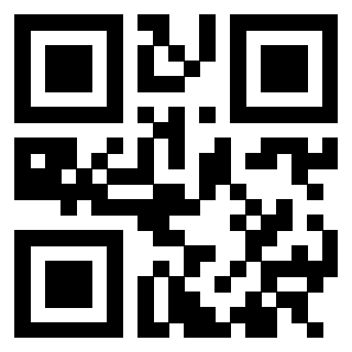 3305028732 - Immagine del QrCode