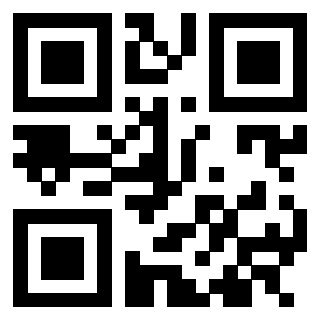 QrCode di 3305055919