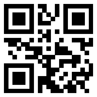QrCode di 3305074358