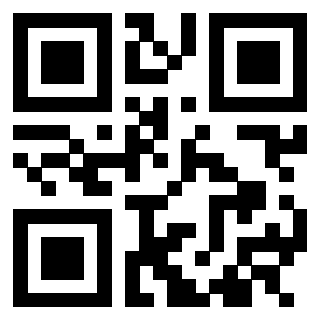 3305074377 - Immagine del QrCode
