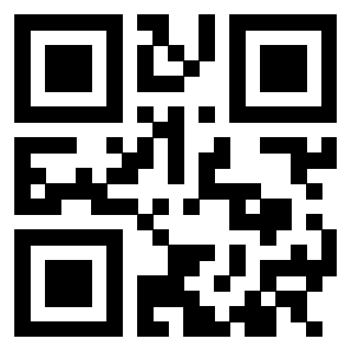 QrCode di 3305074413