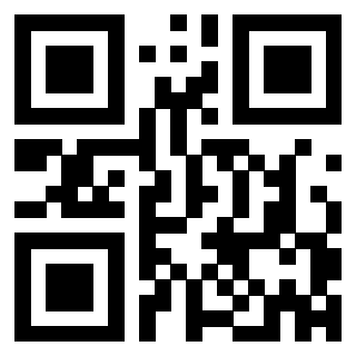 3305089063 - Immagine del QrCode