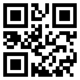 3305095041 - Immagine del QrCode associato