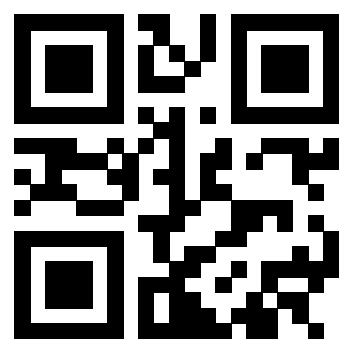 3305095144 - Immagine del QrCode