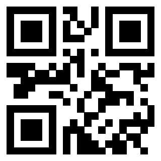 3305095238 QrCode associato