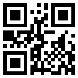 3305102428 - Immagine del QrCode