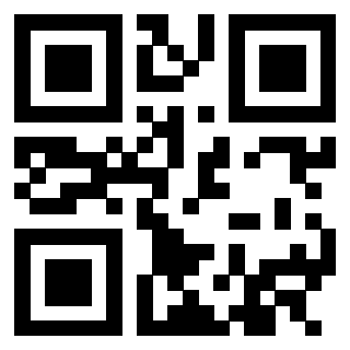 3305291133 - Immagine del QrCode