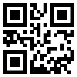 3305291138 - Immagine del QrCode