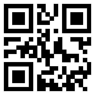 QrCode di 3305295493