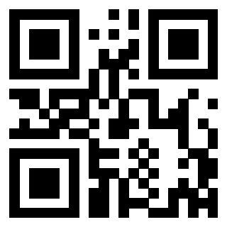 3305295560 - Immagine del QrCode