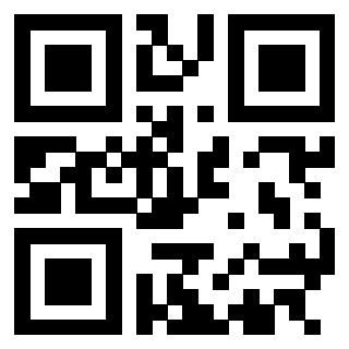 3305435132 - Immagine del QrCode