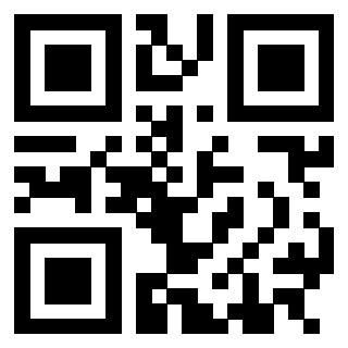 3305504348 - Immagine del QrCode