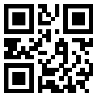 3305504541 - Immagine del QrCode