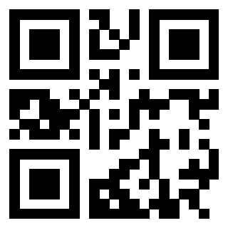 3305591295 - Immagine del QrCode