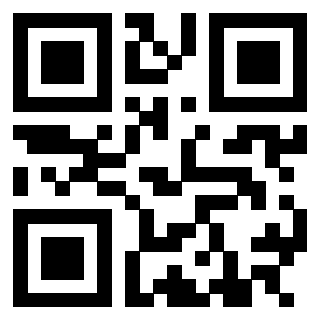 3305598669 - Immagine del QrCode