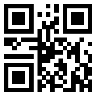 3305599013 - Immagine del QrCode associato