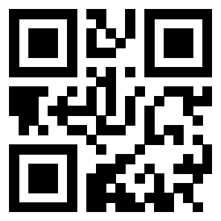 Il Qr Code di 3305599070