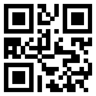 3305649976 - Immagine del QrCode