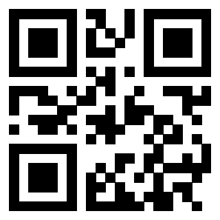 3305650313 - Immagine del QrCode