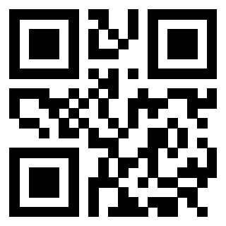 3305962295 - Immagine del QrCode