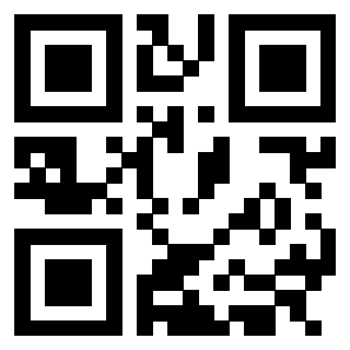 3305962460 - Immagine del QrCode