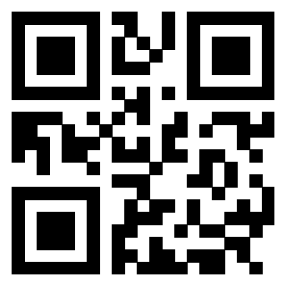 3305963133 QrCode associato