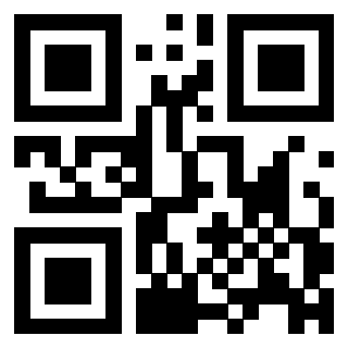 Il Qr Code di 3306006562