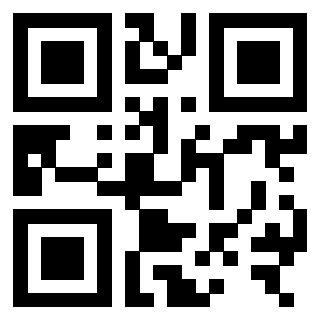 3306006613 - Immagine del QrCode