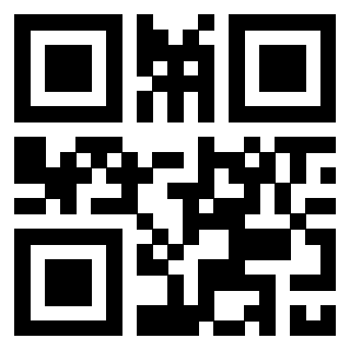 3306006625 - Immagine del QrCode associato