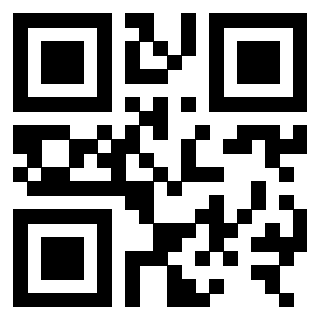3306006665 Qr Code associato