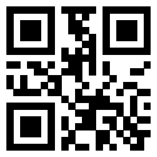 3306006675 - Immagine del QrCode