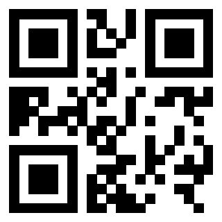 3306006687 - Immagine del Qr Code associato