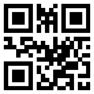 3306006713 - Immagine del QrCode