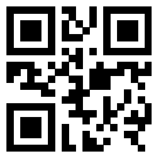 Il Qr Code di 3306006847