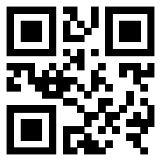 Il Qr Code di 3306006999