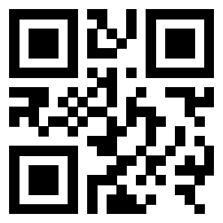3306007381 Qr Code associato