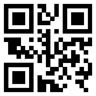 3306071769 - Immagine del QrCode