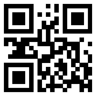 QrCode di 3306071813