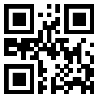3306137378 - Immagine del QrCode