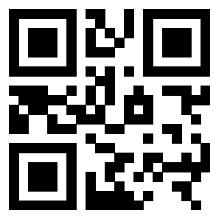 3306137533 QrCode associato