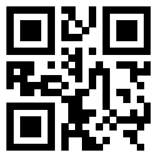 3306137566 - Immagine del QrCode
