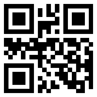 3306137666 - Immagine del QrCode