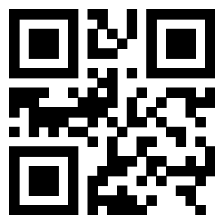 3306138009 QrCode associato