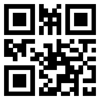3306138025 - Immagine del QrCode