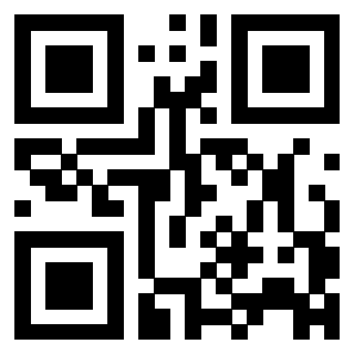 QrCode di 3306138031