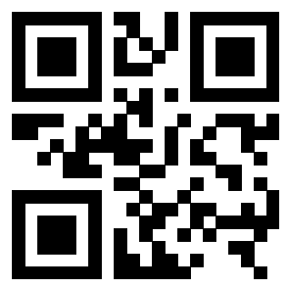 QrCode di 3306138061