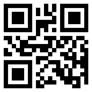 QrCode di 3306138062