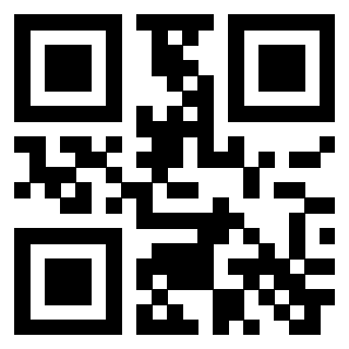 QrCode di 3306138141